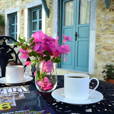 Oalis Boutique Maison d'hôtes Bodrum