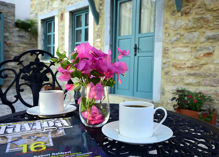 Oalis Boutique Πανσιόν Αλικαρνασσός